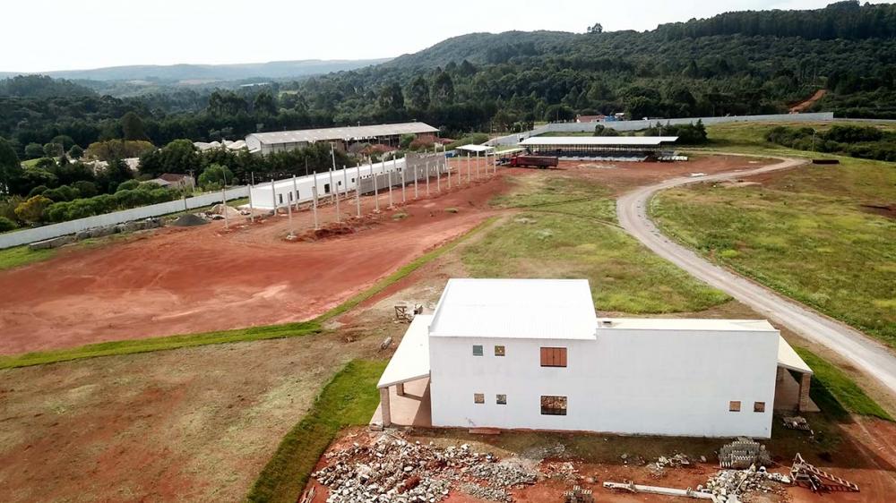 Novo status sanitário do Paraná completa um ano e impulsiona investimentos bilionários