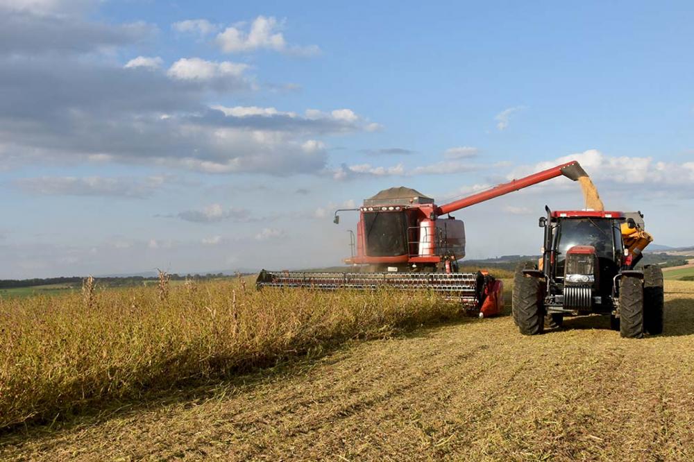 O volume produzido pelos agricultores paranaenses na safra de grãos 2021/2022 pode somar 36,86 milhões de toneladas em uma área de 10,9 milhões de hectares. Foto Toninho Anhaia