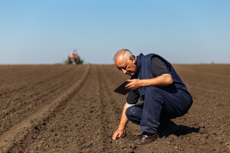 Nesta fiscalização, que deve ocorrer até o final do ano, a Companhia deve vistoriar cerca de 2.500 propriedades em todas as regiões do país. Regularmente, o Ministério da Agricultura, Pecuária e Abastecimento (Mapa) envia à Conab uma lista com as apólices