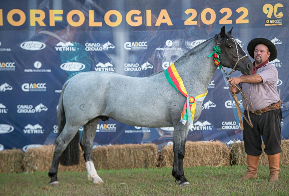 Grande Campeão: Índio Mouro do Fundo da Serra