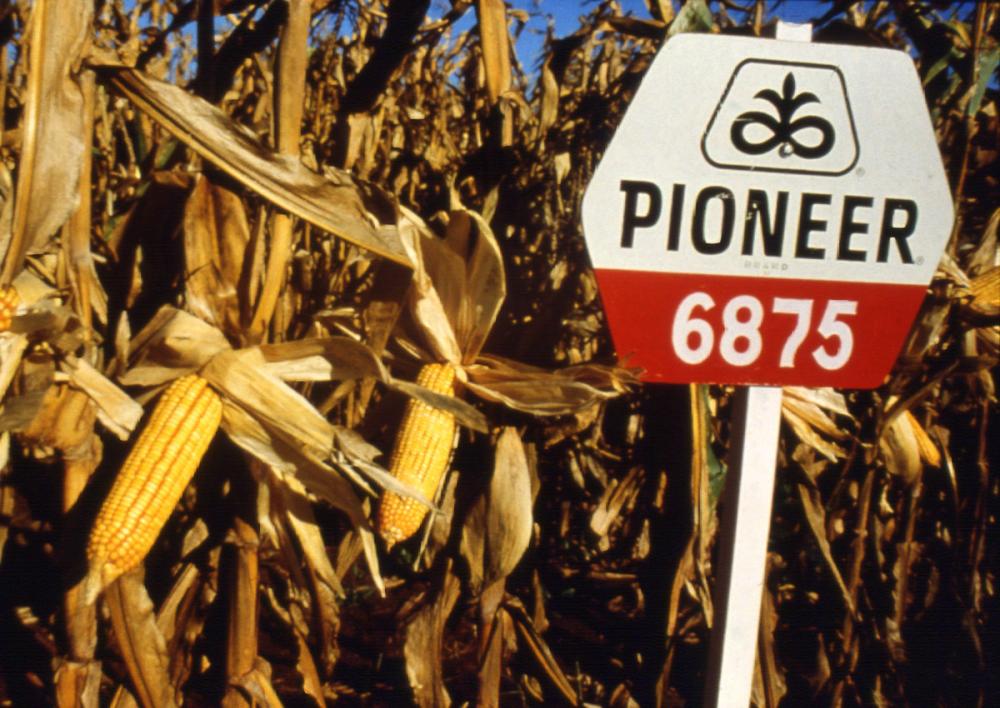 Década de 90 - placa estrada - A Pioneer®, marca de sementes da Corteva Agriscience, celebra este mês 50 anos de Brasil