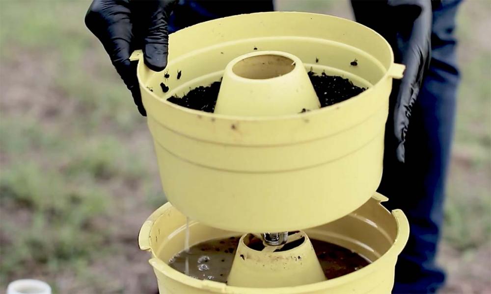 Moscas causam doenças e prejuízos ao produtor rural, causando stress e disseminando doenças.