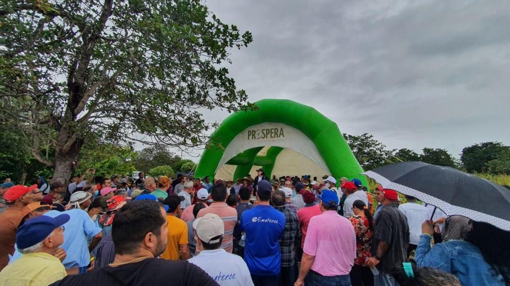O Prospera tem o objetivo de capacitar os produtores para que eles tenham lavouras de alto rendimento ampliando, assim, a produção de milho no Nordeste. 