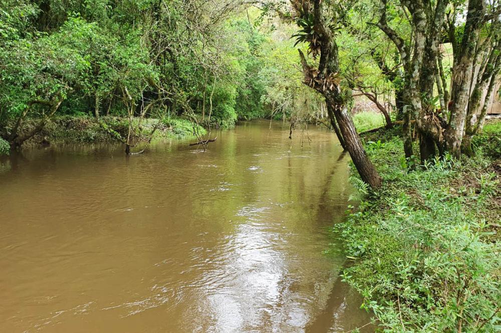 IDR-Paraná incentiva pesquisas sobre agricultura sustentável e proteção ambiental - Foto: IDR-PARANÁ