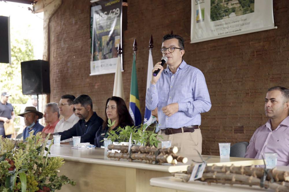 Lançamento contou com dia de campo, palestras, degustação de produtos da mandioca e distribuição de mudas