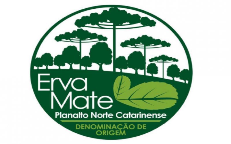 – Erva-mate do planalto norte catarinense ganhou reconhecimento de Indicação Geográfica (IG) de Denominação de Origem.