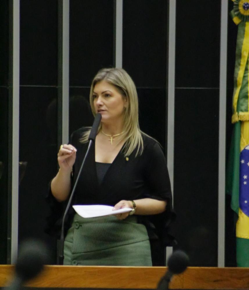 A Deputada Federal Aline Sleutjes defendeu o Governo do Presidente Bolsonaro.