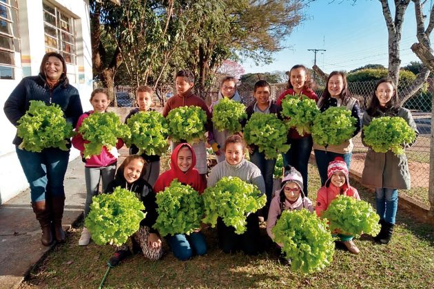 Em 2019, Dez colégios agrícolas de Apucarana, Cambará, Campo Mourão, Castro, Clevelândia, Francisco Beltrão, Lapa, Palotina, Ponta Grossa e Rio Negro participaram da categoria Agrinho Solos. No município de Castro, foram nove escolas participantes, no tot