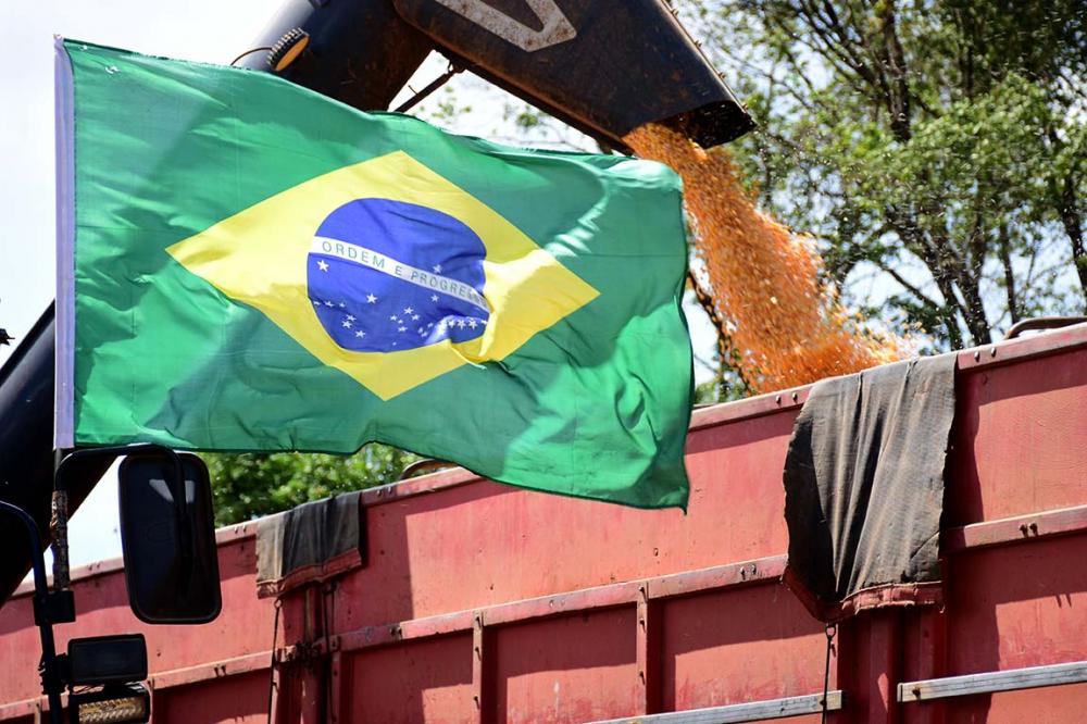 Mesmo com a redução na expectativa em 6,4%, os agricultores brasileiros serão responsáveis pela maior safra da série histórica. Foto Toninho Anhaia