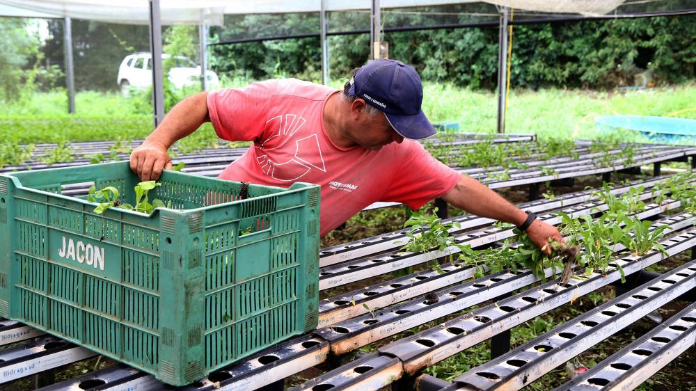 O coordenador do Renda Agricultor Familiar na Seab, Jefferson Meister, destacou que essas ações são essenciais para o desenvolvimento rural.