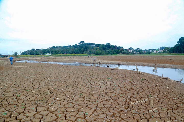 O impacto que esta estiagem vem provocando nos últimos dias é na semeadura dos cereais de inverno.