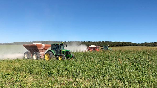 Produtores que passaram a incorporar mais calcário em profundidade no sistema de plantio direto e já estão notando melhora nos índices de produtividade