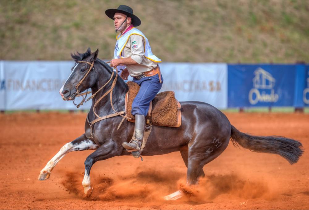 1º Lugar MUTUCA DO RIBEIRÃO BONITO CRIADOR: ARISON JUNG EXPOSITOR: RICARDO ALBUQUERQUE PY ESTABELECIMENTO: FAZENDA CAPÃO REDONDO, BARRA DO RIBEIRO (RS) GINETE: DANIEL WAIHRICH MARIM TEIXEIRA