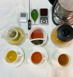 Em busca da erva-mate perfeita, profissionalização enriquece experiência multissensorial.