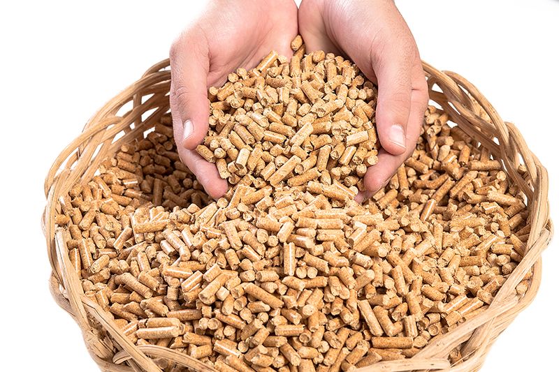 Utilizar pellets nos aviários trouxe melhor qualidade de vida aos avicultores. Para aquecer os aviários com lenha era necessário que o reabastecimento dos fornos fosse feito a cada duas horas, em média, exigindo nos períodos mais frios a presença de uma p