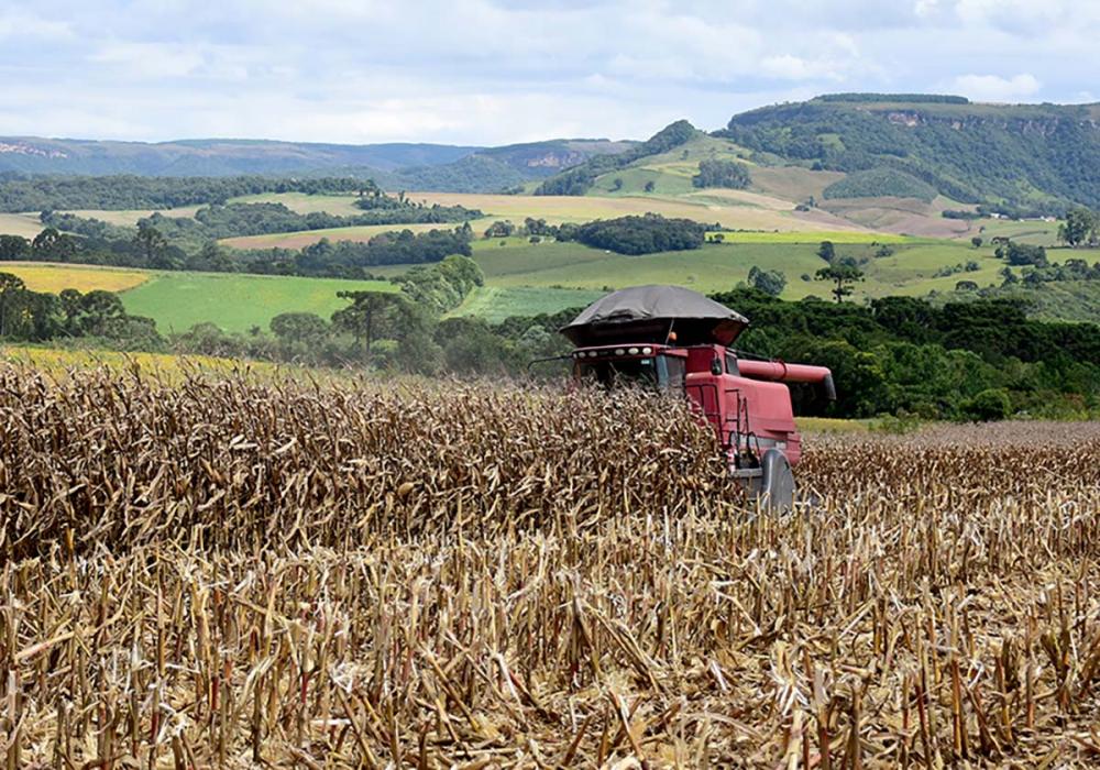 O agronegócio é o motor da economia brasileira. Foto Toninho Anhaia 