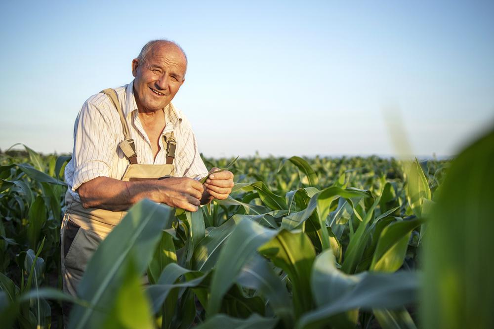 Os produtos considerados de baixo impacto possuem ingredientes ativos biológicos, microbiológicos, semioquímios, bioquímicos, extratos vegetais e reguladores de crescimento, podendo ser autorizados em vários casos na agricultura orgânica. 
