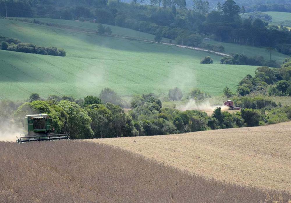 Ano passado, o bloco comprou do Brasil um total de US$ 14,42 bilhões, a maior parte em alimentos e commodities minerais, comércio que, segundo o ministro, tem potencial para crescer, inclusive para além do agronegócio. Foto Toninho Anhaia