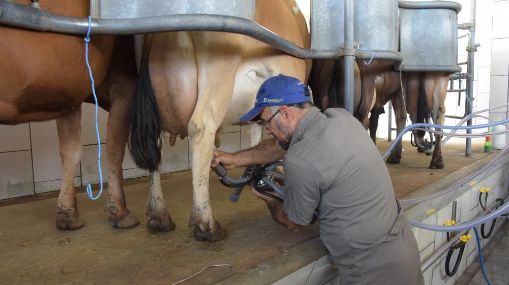 A população ocupada no agronegócio se manteve praticamente estável na comparação entre os primeiros trimestres de 2019 e 2020, segundo pesquisas do Cepea.