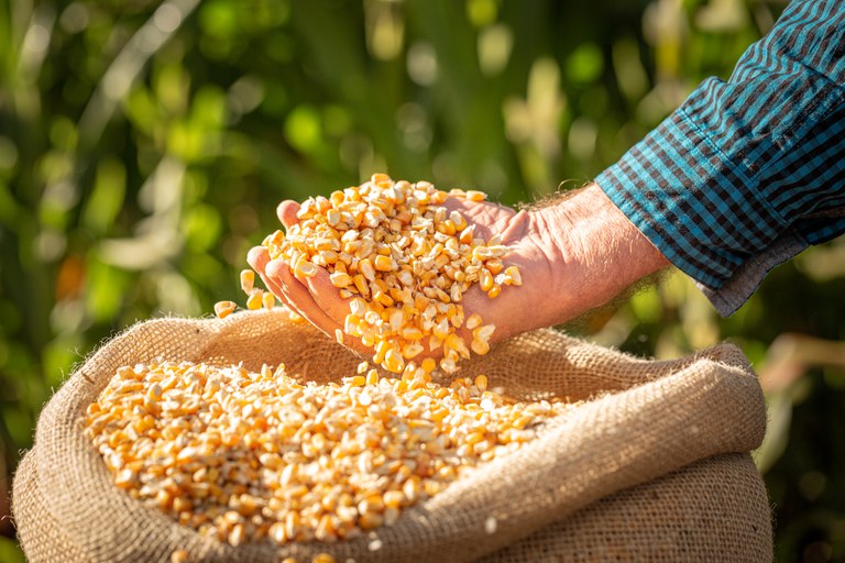 Para as sugestões dos novos preços, foram considerados custos variáveis de produção, além de outras condições de mercado. 