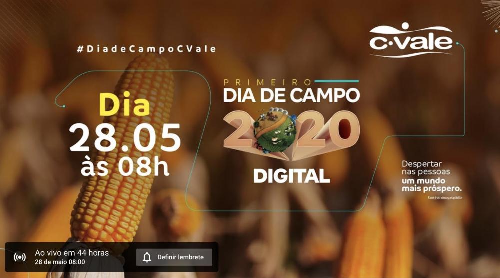 O Dia de Campo Digital da C.Vale, voltado para o milho safrinha.