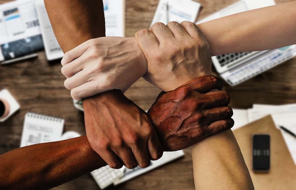 Escolha de parceiros, mentoria e exemplos de acordos similares são essenciais em projetos de inovação no setor. Imagem de Tumisu/Pixabay 