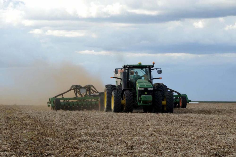 Plantio de sorgo no oeste da Bahia; componente para sistema de integração lavoura-pecuária (ILP) Fotos: Ariosto Mesquita