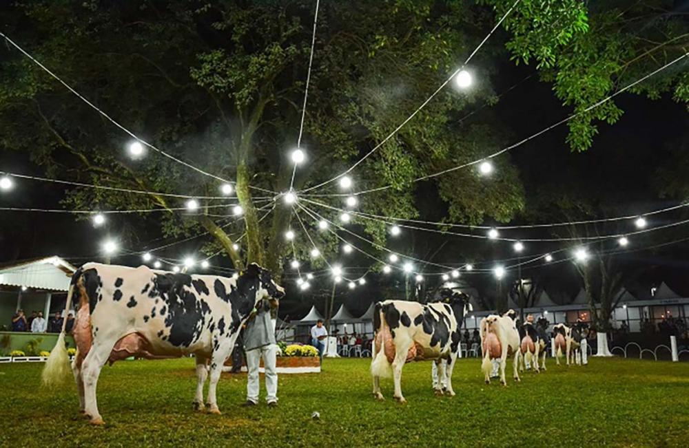A feira, que integra o Circuito Nacional da Raça Holandesa, oferece uma programação especial com diversas atrações no Parque de Exposições Capal, em Arapoti/PR. A entrada é gratuita para todos os visitantes.