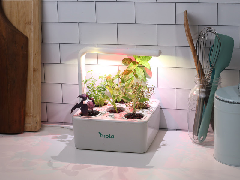  Em destaque, a b.box led, a horta inteligente da Brota com iluminação artificial.