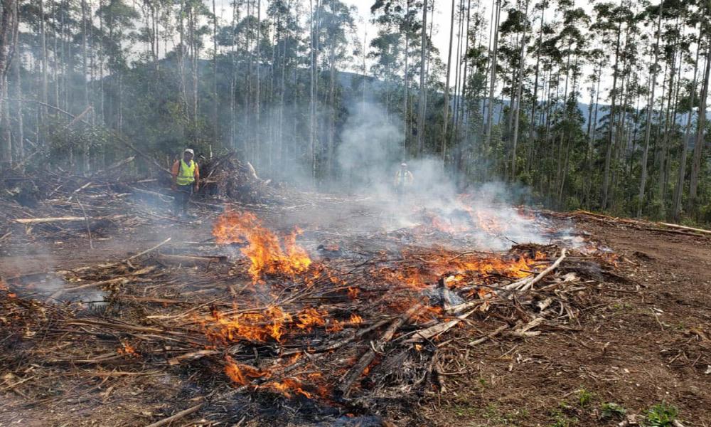 Estado alerta para necessidade de cuidados contra incêndios florestais - Foto: Gilson Abreu/AEN