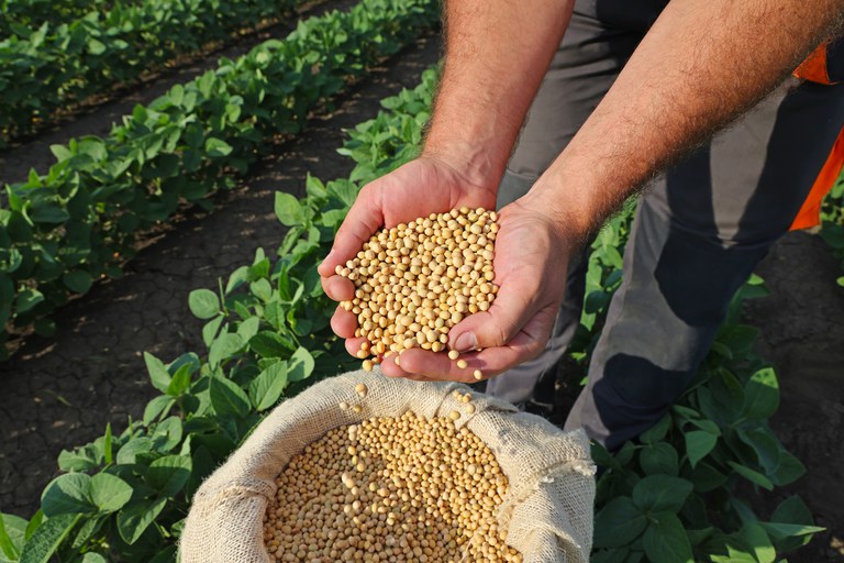 Está em vigor, desde o dia 30 de maio, a Portaria Nº 280, que dispõe sobre os critérios e procedimentos relativos à concessão e manutenção do direito de uso do Selo Biocombustível Social (SBS).