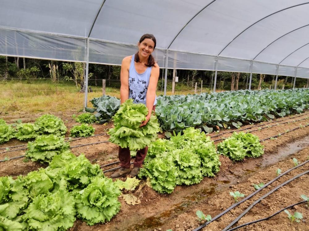 Catarina da Silva, agricultora da região da Ponte de Zinco, trabalha há 15 anos com produção para a merenda escolar, mas estava pensando em parar, pois não tinha dinheiro para trocar o plástico da estufa.