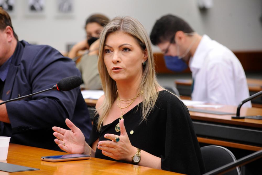 A deputada federal, Aline Sleutjes (PROS-PR), membro da Frente Parlamentar da Agropecuária (FPA), chama a atenção para o tema e vê a mesma situação na Holanda.