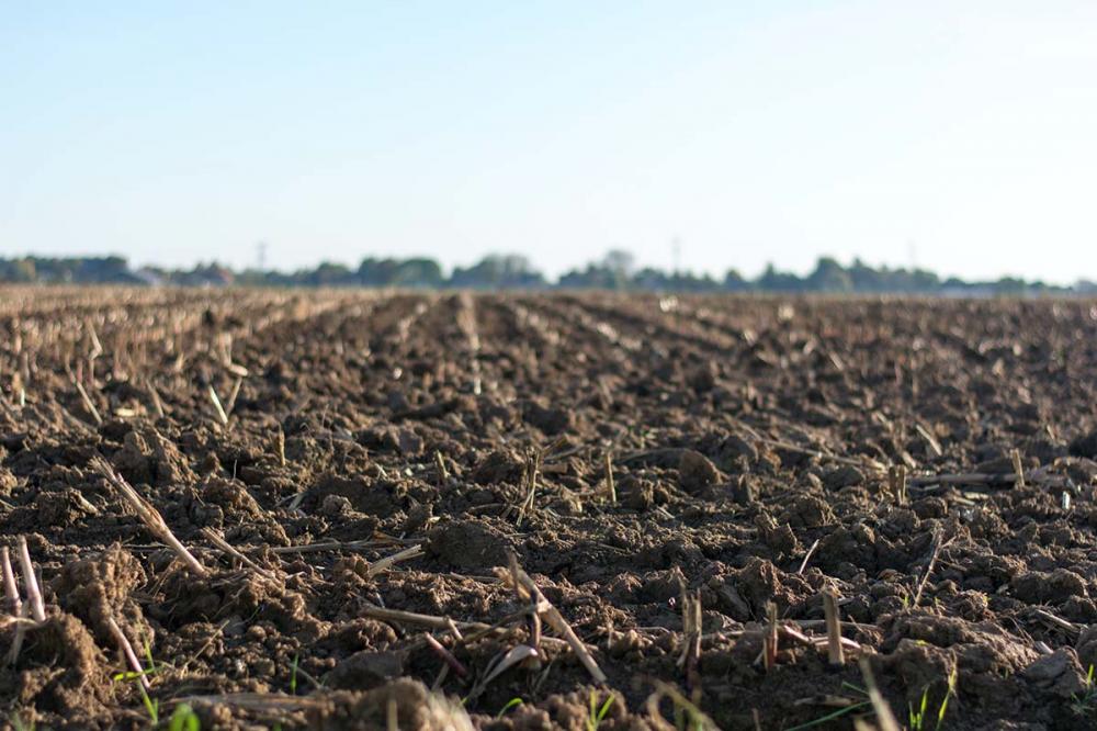 Jump auxilia na melhor gestão da lavoura num momento de aumento de custos e menor oferta mundial de fertilizantes