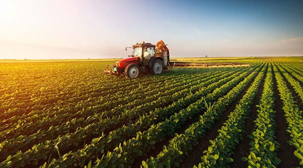 Com a maior produtividade do setor, o segmento de seguros para a atividade agrícola tende a acompanhar este movimento com o aumento do valor de mercadorias seguradas e da maior exposição de risco na atividade. 