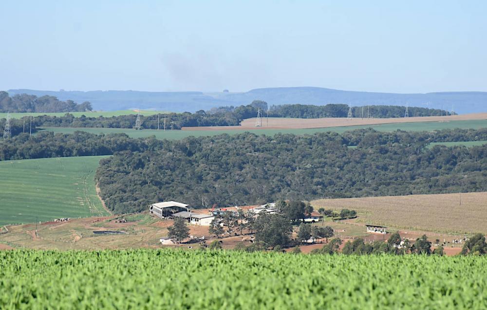 A partir de 15 de agosto, pessoas físicas ou jurídicas que tiverem a propriedade, domínio útil ou a posse de imóvel rural deve fazer a declaração. Foto Toninho Anhaia