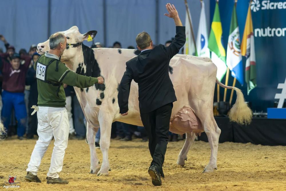 Ruivinha, eleita a melhor vaca holandesa da variedade preta e branca da exposição