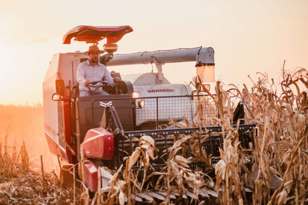 Entre as novidades, YANMAR apresenta a nova colheitadeira YH 880, única da categoria disponível no mercado