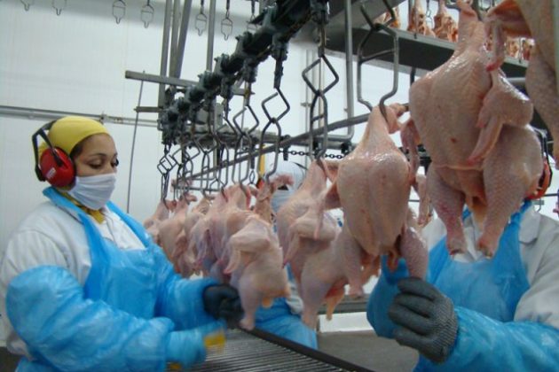 No mercado externo, a China é o maior comprador da carne de frango paranaense, demanda acentuada por aspectos econômicos e pelo comportamento do mercado interno chinês.