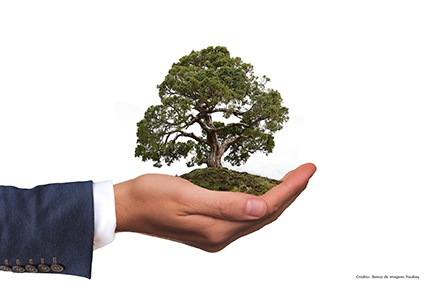 Devemos assumir uma postura de responsabilidade ambiental, nos valendo de sentimentos e atitudes nobres como a cidadania e o consumo consciente, pois só assim conseguiremos mudar o quadro atual. E a hora é agora. É sempre agora...