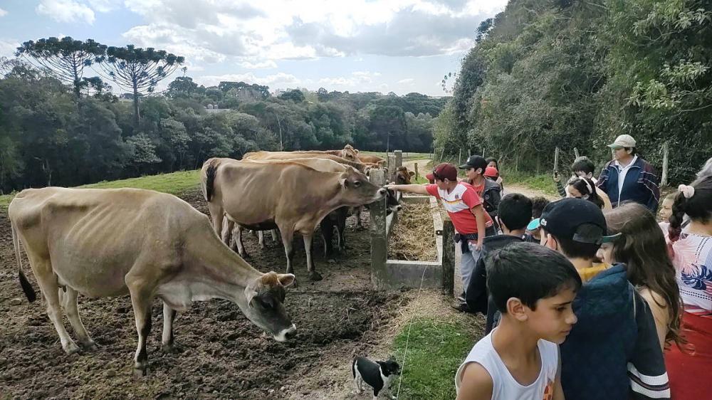 Em uma viagem de conhecimento na Chácara Recanto dos Passarinhos, os alunos da Esc. Mun. Profª Lucilia Penteado de Araújo, de Piraí do Sul, discutem sobre sustentabilidade. Toninho Anhaia