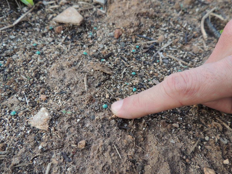 Adubo químico encontrado em horta orgânica durante a Operação Illusio - Foto Ana Maio /SFA-SP