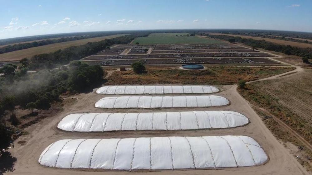 O processo de ensilagem, ou seja, de cortar a forrageira e compactá-la para o devido armazenamento nos tipos de silo hoje disponíveis, tem o objetivo de impermeabilizar e proteger o alimento, impedindo a troca gasosa, especialmente a entrada de oxigênio.