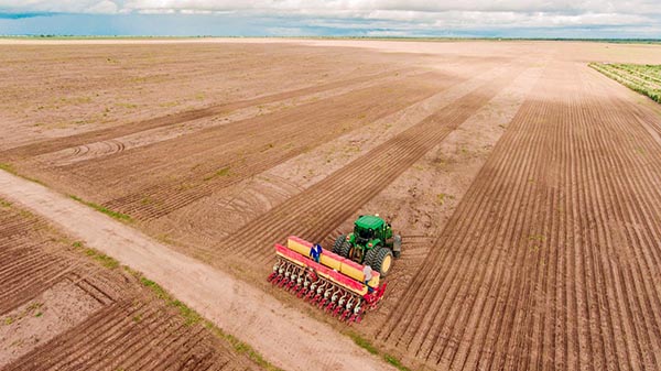 Para melhorar a distribuição de sementes no solo, fazenda na Bahia aposta no dosador pneumático Selenium