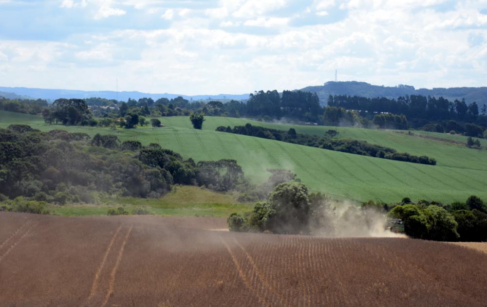 Principal produto cultivado, a soja teve o desenvolvimento marcado pelas altas temperaturas em importantes regiões produtoras, como as lavouras do Paraná, Santa Catarina e em parte do Mato Grosso do Sul. Foto Toninho Anhaia