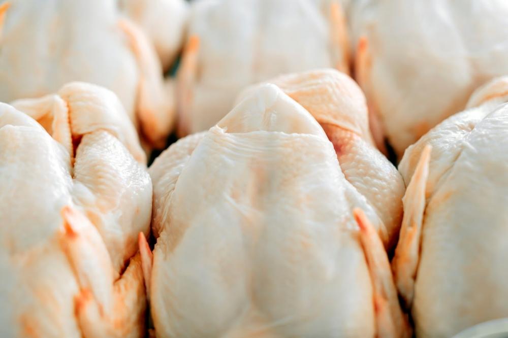 Um dos principais produtos brasileiros exportado aos países árabes é a carne de frango. 