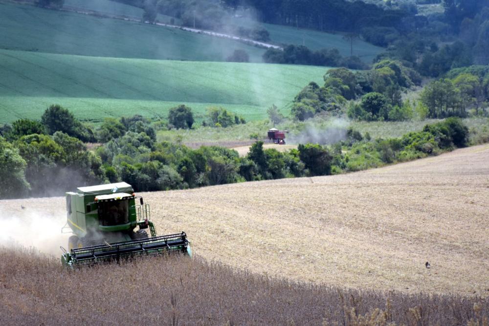 O VBP das lavouras apresenta acréscimo de 1,7% , enquanto a pecuária teve queda de 4,4%Foto Toninho Anhaia