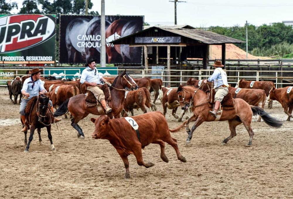 No mesmo final de semana, também será realizada a prova Aparta Boi – Ranch Sorting. A final da modalidade contará com cinco categorias: Aberta, Feminina, Mista, Jovem e Família. Estão aptas as duplas habilitadas que correram etapas de núcleo durante o cic