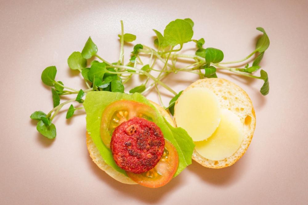 Protótipo de hambúrguer bovino cultivado da Ambi Realfood. Kamila Santos