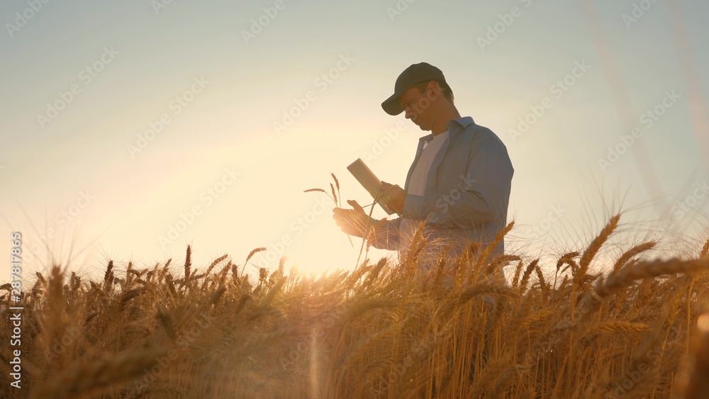 O consumidor agro tem dado passos largos no uso do E-commerce AdobeStock
